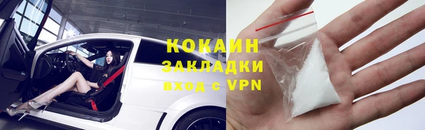 PSILOCYBIN Майский
