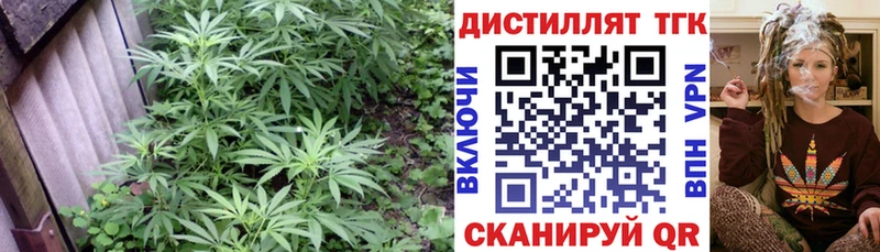 ТГК THC oil  Купить  Медынь 