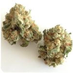 Шишки "White Widow"  (Белая вдова)  Гидропоника -  Бошка VHQ в Медыни